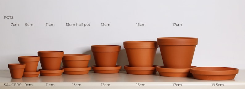 Customisable terracotta saucer for plant pots image 6