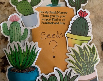 Bolsa de semillas variadas de cactus y suculentas misteriosas