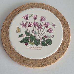 May include: A round coaster with a cork border and a white ceramic centre featuring a botanical illustration of pink Cyclamen repandum flowers, green leaves, a yellow butterfly, a small green insect, and a ladybug with the text Cyclamen repandum.