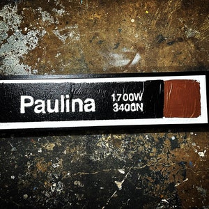 Paulina Brown line L train sign, Paulina train station poster, Paulina Brown line artwork, CTA posters, Chicago neighborhood artwork