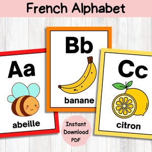 Colorful French Alphabet Posters: French Immersion Classroom Decor (PDF Download)