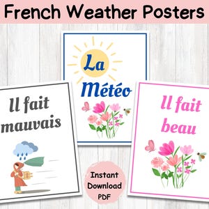 French Weather Classroom Posters|French Classroom Decor|Bilingual Classroom|Educational French Posters|French Weather Poster Set|Core French