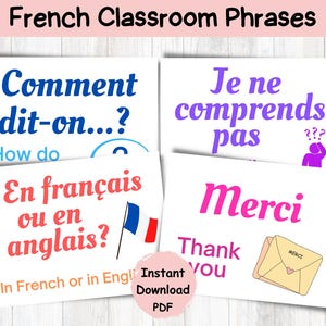 Common French Phrases Classroom Posters |French Classroom Decor|French Language Teacher Resources|Core French Posters|Bilingual Classroom