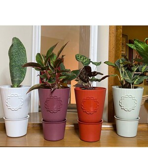 The Upotic Planter, Planter, Outdoor Planter, Indoor Planter, Garden, Gardener, Flower Pot, Plant Pot, Indoor/Outdoor Planter,
