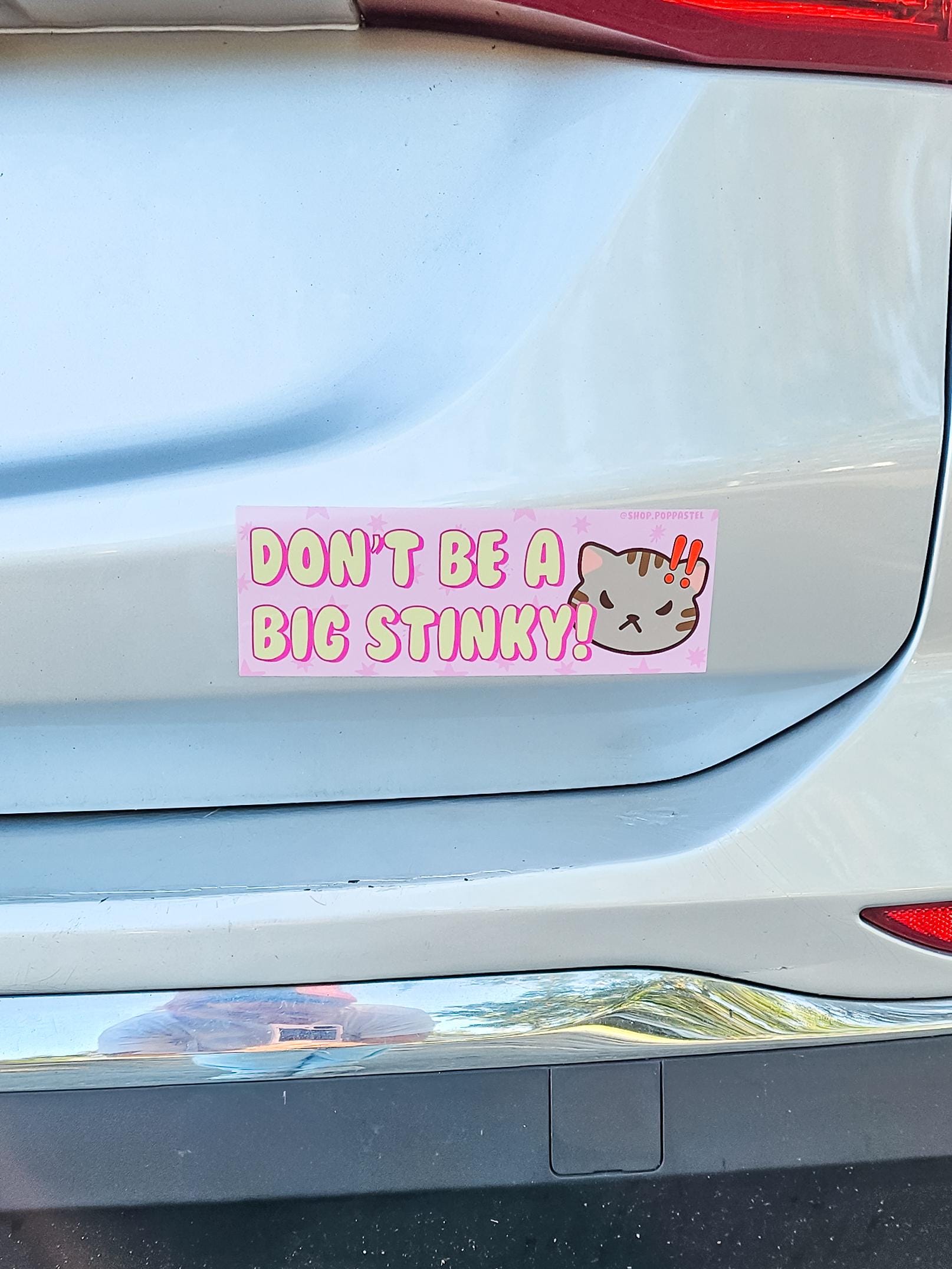 Don't Be a Big Stinky Bumper Sticker | Funny Cat Sticker | Angry | Pink ...