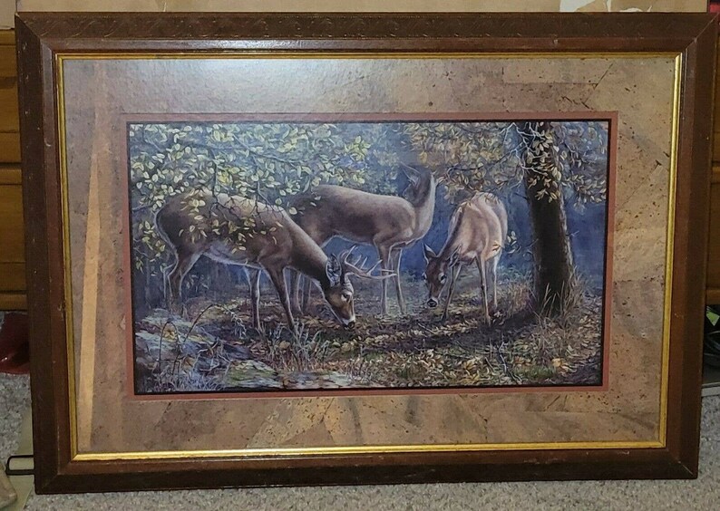 deer man of the dark woods unmasked deer man of the dark woods unmasked