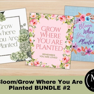 Könnte beinhalten: Drei druckbare digitale Kunstdrucke mit floralen Designs und inspirierenden Zitaten. Die Drucke zeigen die Sätze "Grow Where You Are Planted", "Bloom Where You Are Planted" und "Grow Where You Are Planted, Remember You Are Loved".