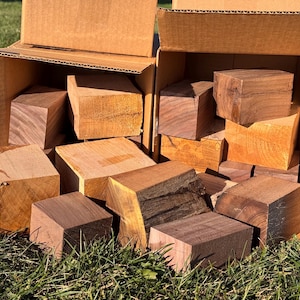 May include: A cardboard box overflowing with various sized wooden blocks. The blocks are a mix of light and dark brown hues, with visible wood grain. The blocks are sitting on green grass.