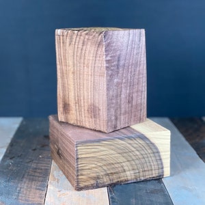 Wood Blanks Black Walnut Combo Bowl Turning Plank Lathe Turning Wood Bowl Hardwood Bowl Turning Blank Sculpture Mounting Blanks