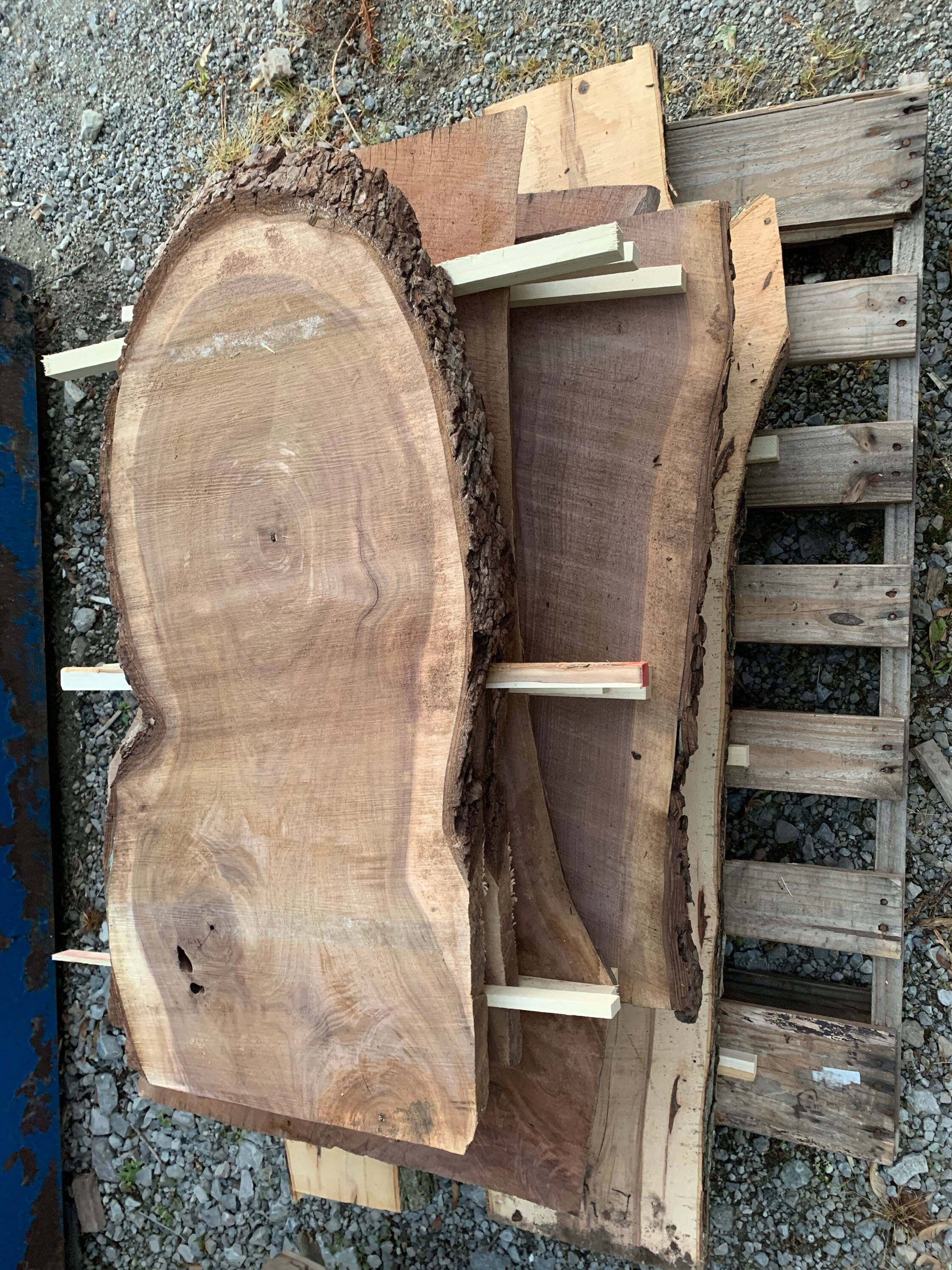 Custom 3D Fish Aquarium End Table/side Etsy