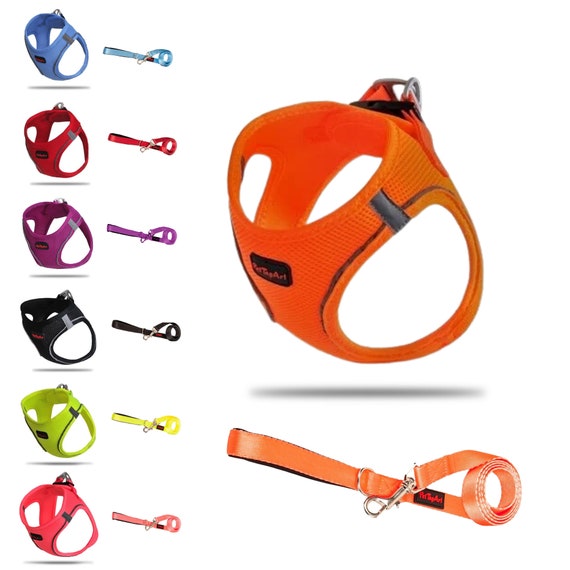 PetTagArt AirMesh Hundegeschirr Mit Leine – Anti-Zug, Reflektierend, Größe M, Neon Orange, Für Kleine & Große Hunde