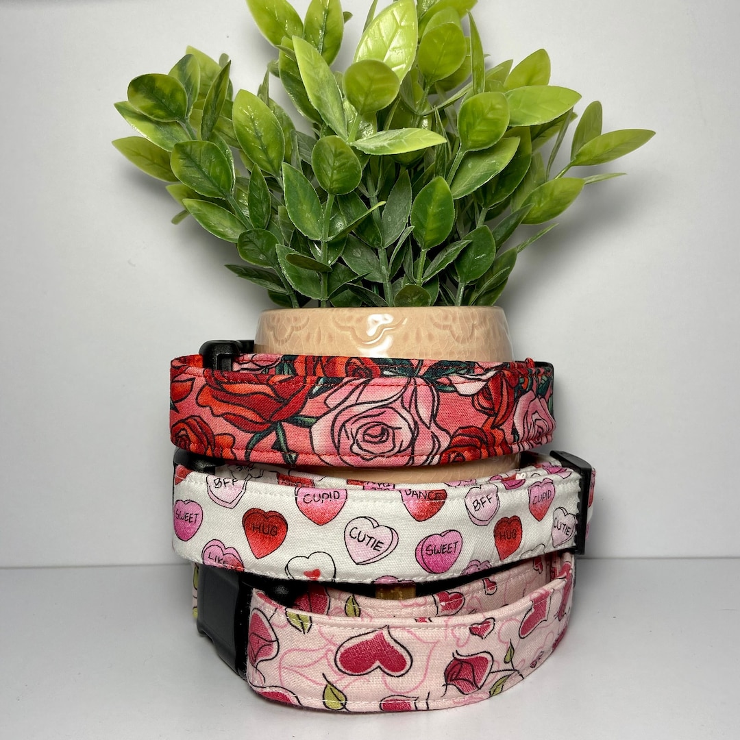Valentine's Day Dog Collar Handmade Dog Collar Hearts Pink Love Puppy