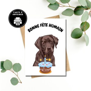 Customizable Labrador birthday card, Comic dog card, Labrador birthday card in French, Birthday cake card