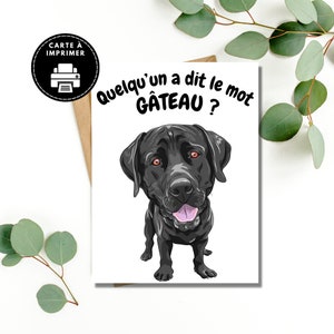 Labrador birthday card, Comic dog card, Labrador birthday card in French, Birthday cake card to print