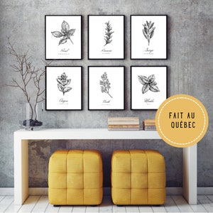 Set mit 7 feinen Kräutern auf Französisch, Küchenkräuterdrucke zum Ausdrucken, Rosmarin-Poster, Oregano-Poster, Petersilie-Poster