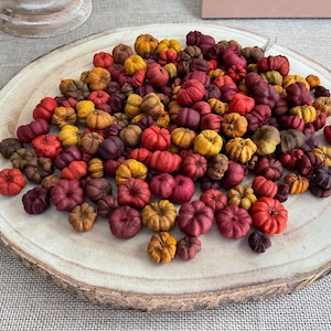 May include: A collection of miniature pumpkins in shades of red, orange, yellow, and brown, arranged on a round wooden platter. The pumpkins vary in size and shape, creating a rustic, autumnal display.