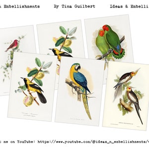 Cartes illustrées Oiseaux ; Fichiers numériques