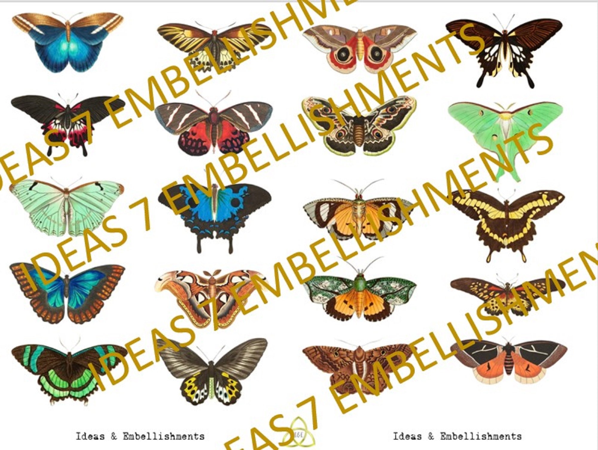 Fussy Cut Butterflies & Cards Etsy