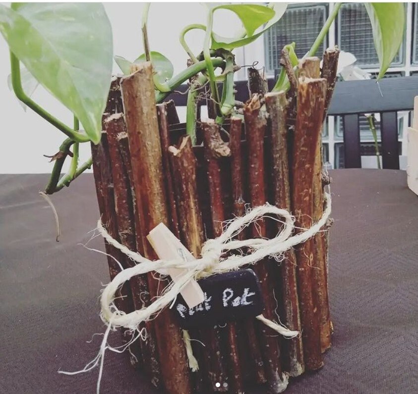 Pot Décoratif Branches