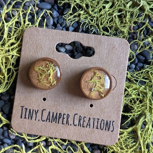 Lichen Moss Wood Stud Earrings - Pacific Northwest Forest Finds