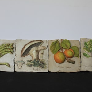 Rustic Vegetable Wall Hanging For Vintage Kitchen Decor. Choose 1 From 4, Asparagus, Apricot, Mushroom, Lime, Hen Feathers Resin Plaques.