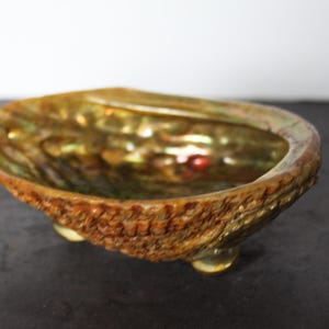 May include: Abalone shell bowl with iridescent interior and textured, brown exterior. The bowl is oval-shaped and rests on three small, rounded feet. The shell's interior displays a range of colors, including green, gold, and red.