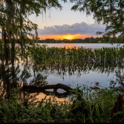 Brendan Fraser the Mummy Autograph Reprint Photo LOOK Signed