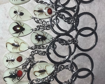 Chaveiros de amostra de insetos taxidermia, insetos reais, insetos, aracnídeos, resina lucita, escorpião, brilho no escuro, presente gótico, colar de estrela do mar