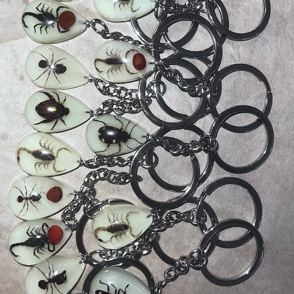 Taxidermy Insect Specimen Keychains Real Insects Bugs Arachnids Lucite Resin ScorpionGlow In The Dark Goth Gift Starfish necklace