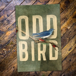 Mini carte postale/impression Odd Birds