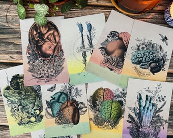 May include: Set of ten greeting cards with anatomical illustrations and floral designs. Each card features a different anatomical illustration, such as a heart, brain, or hand, surrounded by flowers and leaves. The cards are printed on high-quality cardstock and come with envelopes.