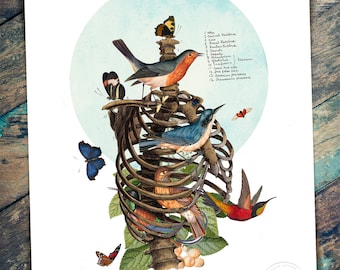 Birdcage Print