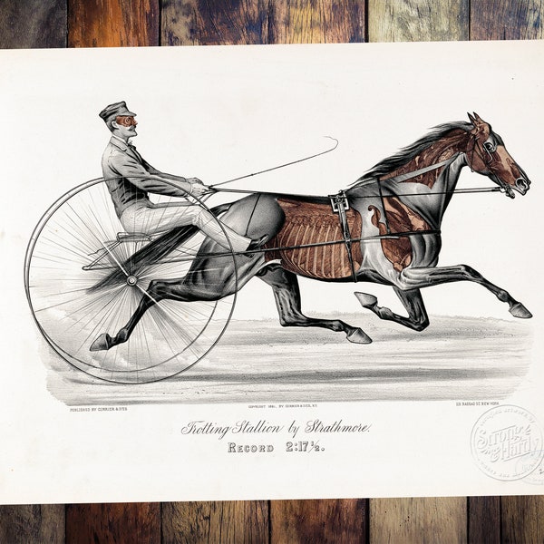 Trotting Stallion by Strathmore Print