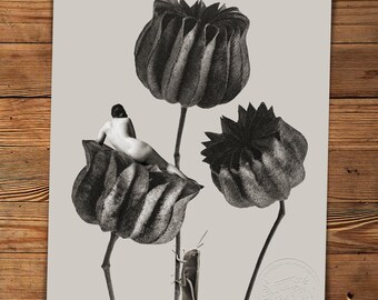 Body of a Flower: Grasshopper Luster Metallic Print