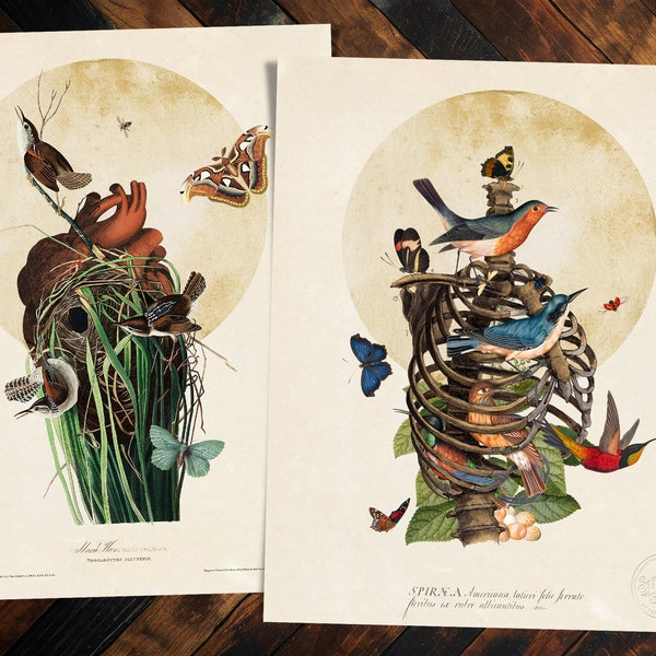 Wren Can We Be Together Again and Birdcage Special Edition Print Pairing
