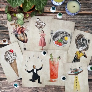 Coffret de cartes de voeux anatomiques fantaisistes