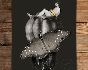 Body of a Flower: Queen Butterfly (Online Exclusive)