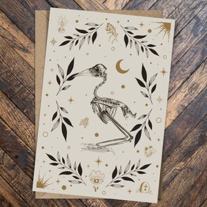 Feather Plucking Greeting Card No. 3: Death and Grief