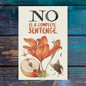 Puede incluir: Una impresión rectangular sobre papel crema con el texto negro NO y el texto naranja IS A COMPLETE SENTENCE. Debajo del texto hay una ilustración botánica de un lirio naranja, una manzana cortada por la mitad y varios insectos, incluida una mosca.