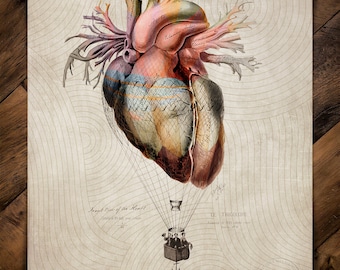 Anatomical Whimsical Print No. 1: Follow Your Heart
