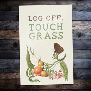 May include: A print with the words "LOG OFF. TOUCH GRASS" in brown and green lettering. The artwork features a butterfly perched on a plant with orange and yellow fruit and pink flowers.