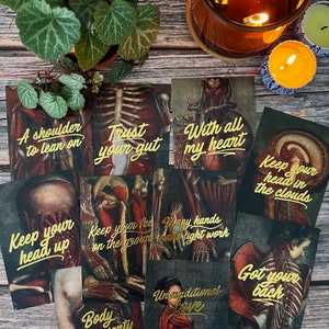 Dissecting d&#39;Agoty Greeting Card Box Set