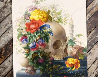 Vanitas Still Life III Restored Reproduction Print