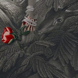 Sakontala-tryck (exklusivt online) bild 4