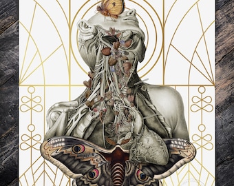 Anatomical Floral Print No. 7
