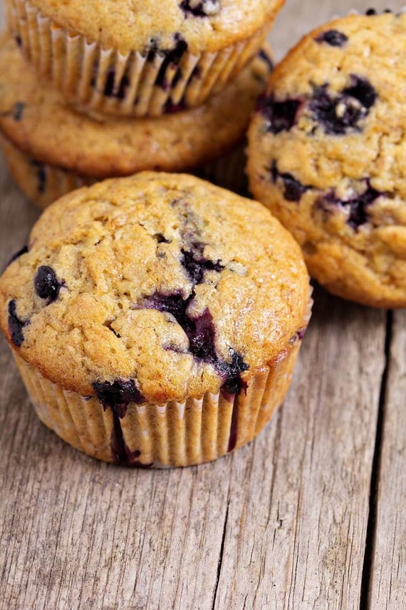 Jumbo Blueberry Lactation Muffins for Breastfeeding Mothers Etsy