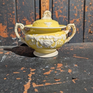 Davenport china - Etsy 日本