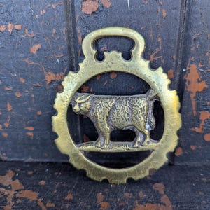 Brass Vintage Cow Medallion Horse Bridle Patina Retro eclectic boho farmhouse country living horse tack