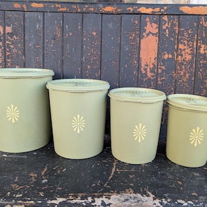 Può includere: Quattro barattoli verdi vintage con coperchi. Ogni barattolo ha un motivo floreale giallo. I barattoli sono disposti dal più grande al più piccolo. I barattoli sono su una superficie di legno scuro e usurato.