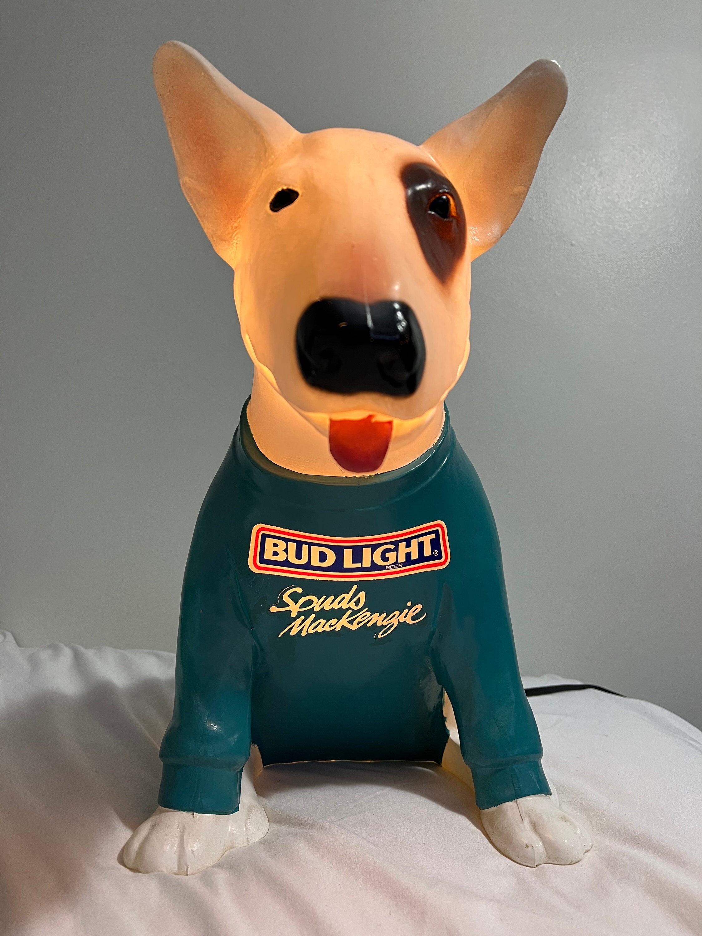 Mini Bull Spuds Mackenzie Bull Terrier Terrier Breeds Spuds